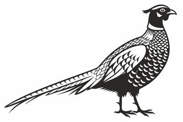 Fototapeta premium pheasant sihouette black vector