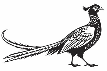 pheasant sihouette black vector