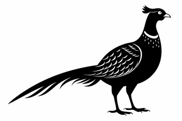 pheasant sihouette black vector