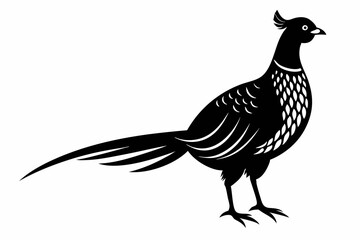 pheasant sihouette black vector