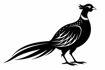 pheasant sihouette black vector