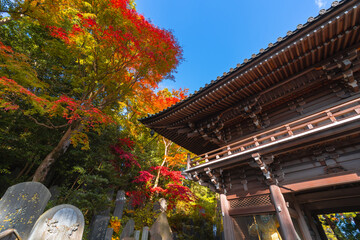 Autumn Leaves and Historic Yakuo-in Temple on Mt. Takao (Tokyo)