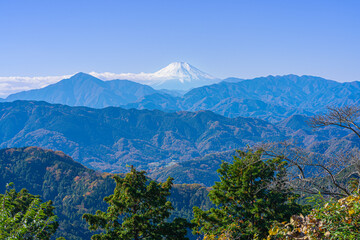 東京・高尾山山頂から望む富士山（2024年11月撮影）
Mount Fuji Viewed from the Summit of Mt. Takao, Tokyo (November 2024)