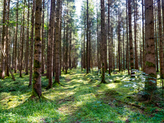 Fototapeta premium Landscape near Siegertsbrunn in Bavaria.