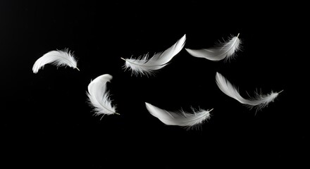 Obraz premium Delicate White Swan Feathers Drifting in Dark Ethereal Void Illuminated by Soft Light Highlighting Intricate Details Movement of Feathers Swirling