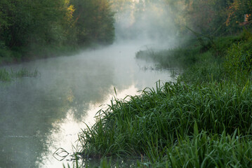 Rzeka Pszczynka o świcie we mgle na wiosnę. © Elżbieta Kaps