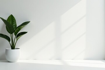 Clean minimalist aesthetic, pure white backdrop, form, elegant, palette