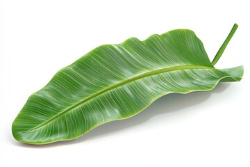 Fototapeta premium Close-up view of a vibrant tropical leaf.