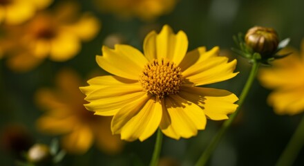 Obraz premium Closeup of a Vibrant Yellow Flower with Green Background