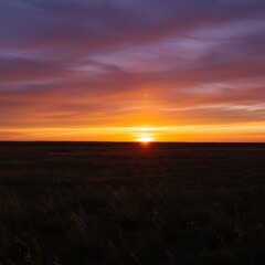 Vibrant Sunset Over a Grassy Field