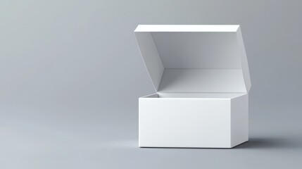 Open white box on gray background; packaging mockup