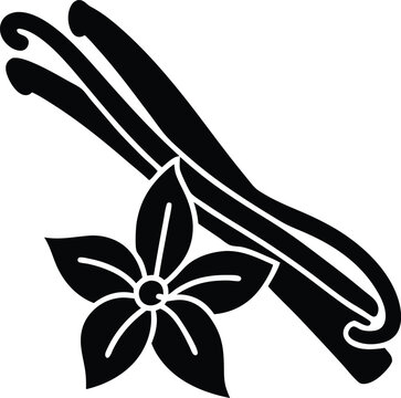 Black and white vanilla beans with star anise illustration