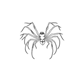 Monochrome depiction of a stylized spider with intricate leg details