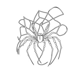 Monochrome stylized vector illustration of a spider in a geometric web