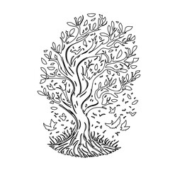 Stylized arboreal illustration featuring a black and white tree drawing