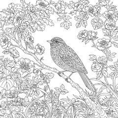 Bird and flowers illustration. Adult coloring page