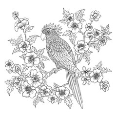 Bird and flowers illustration. Adult coloring page