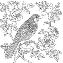 Bird and flowers illustration. Adult coloring page