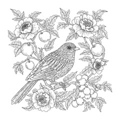 Bird and flowers illustration. Adult coloring page
