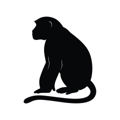 Obraz premium Silhouette vector of a monkey sitting, depicting a chimpanzee primate in black and white
