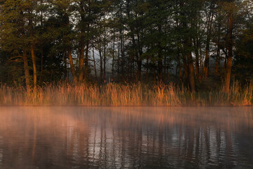 Piękny wiosenny poranek nad wodą we mgle. © Elżbieta Kaps