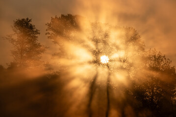 Słoneczny wiosenny majowy świt nad wodą, promienie słońca we mgle, tło natury. © Elżbieta Kaps