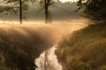 Piękny wiosenny poranek nad wodą we mgle. © Elżbieta Kaps