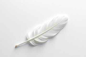 Crisp white feathers on pristine white background, down, feather