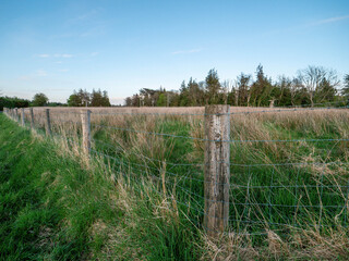 Fototapeta premium Fence with old wooden poles and sharp barber protecting field with tall grass from trespassing. Trees and blue cloudy sky in the background. Security and safety of private land concept.