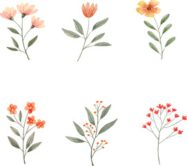 Collection of spring colorful flower elements . Set floral of wildflower, leaf branch, foliage on white background. Hand drawn blossom illustration for decor, easter, sticker, clipart, print.