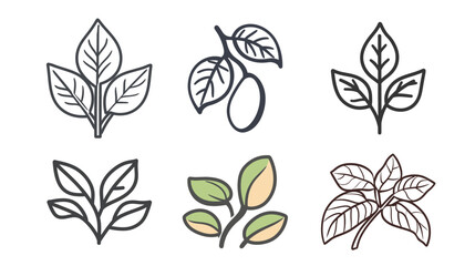 Buck-bean outline icon on white background, a minimalist vector illustration of the buck-bean plant with clear outlines and detailed leaves.