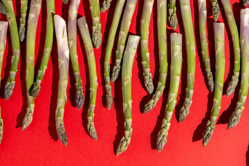 Green asparagus on red background. Vegetable food top view. Sprouts stems veggie.