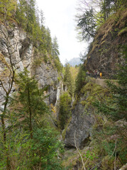 Die vordere Gießenbachklamm