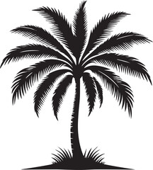 palm tree silhouette