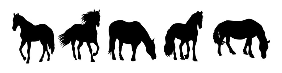 Set of horses are shown in silhouette, with one horse eating grass. The horses are all different sizes and are positioned in a line. Concept of calm and peacefulness. Flat vector illustration isolated
