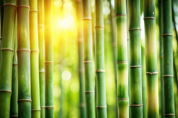 Obraz premium Serene Bamboo Texture: Close-Up Vertical Stalks Background for Design
