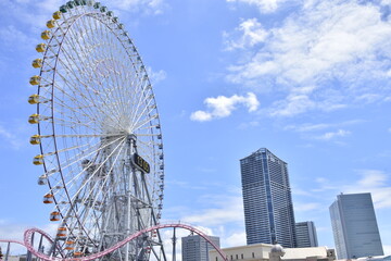 ferris wheel in the park