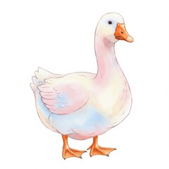 Obraz premium Watercolor Illustration of a White Goose with Orange Beak Standing Isolated