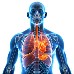 Blood-themed symmetrical text design on transparent background