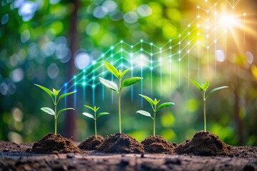 Thriving Saplings: Holographic Growth Data Visualization Stock Photo