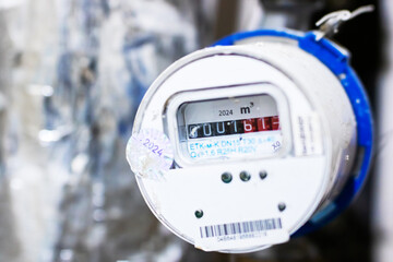 This is a detailed closeup view of a water meter showing a readout of 00161