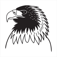 Powerful Close-Up of Steller’s Sea Eagle in Natural Habitat