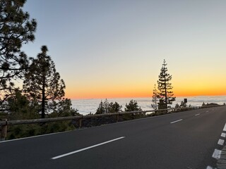 Sunset view from a mountain road in Tenerife, Canary Islands, with pine trees silhouetted against a colorful sky and a sea of clouds below