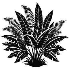 Tropical Rainforest Plants Black and White Illustration of Lush Foliage