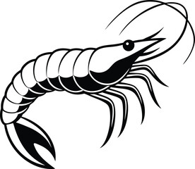 vector illustration of a shrimp