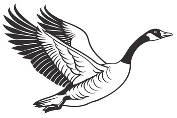 Flying goose vector illustration canada goose clip art waterfowl bird drawing wildlife animal migration design 100 isolated on transparent background