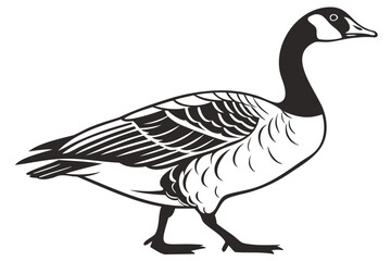 Canada goose vector illustration black and white drawing of wild goose waterfowl bird outline clip art image 100 isolated on transparent background