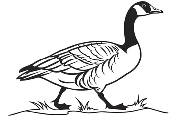 Black and white vector illustration of a goose walking in the grass waterfowl clip art line art image isolated on transparent background