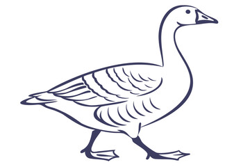 Goose drawing illustration of a walking waterfowl bird outline vector image for design and creativity use isolated on transparent background