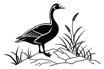 Black and white vector illustration of a goose standing on rocks near tall grass and reeds design art 1 isolated on transparent background